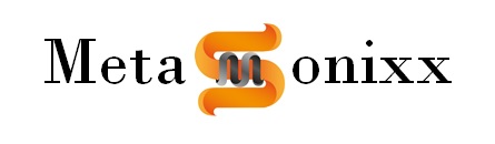 Metasonixx logo, black font with orange wave S icon