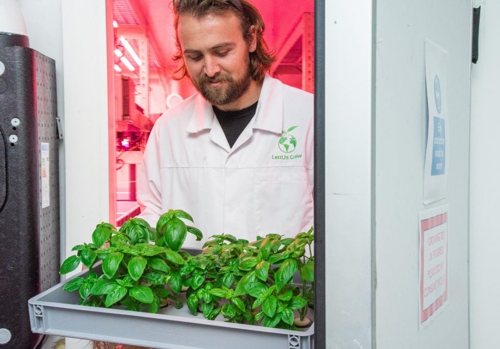 Charlie Guy in Lett Us Grow lab
