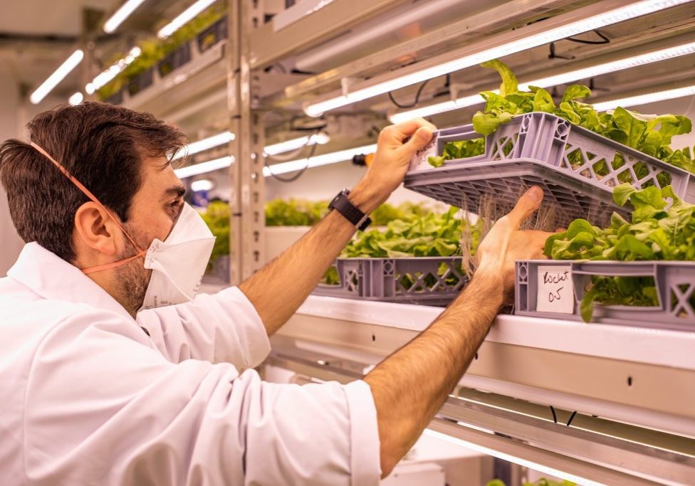Ricardo Lopes, Research Scientist at LettUs Grow-lo res Ricardo Lopes -Research Scientist at LettUs Grow