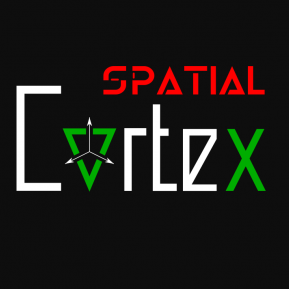 Spatial Cortex capture