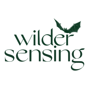 Wilder Sensing logo green font with bat illustration